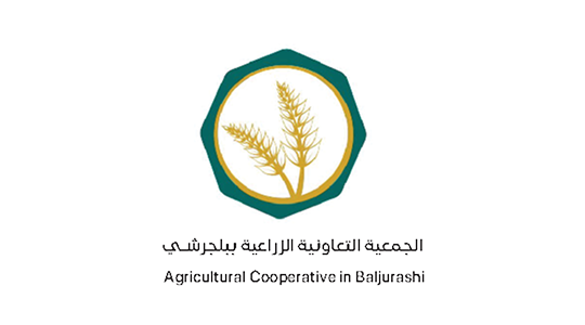 الشريك الاستراتيجي